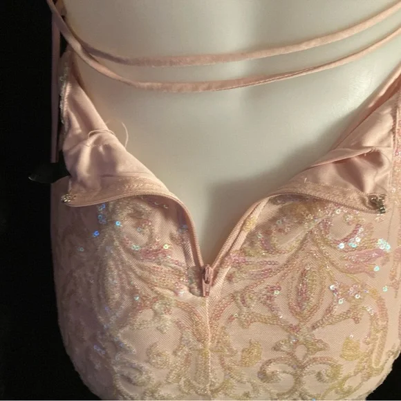 Windsor Blush Sequin Embellished Dress - Picture 5 of 8